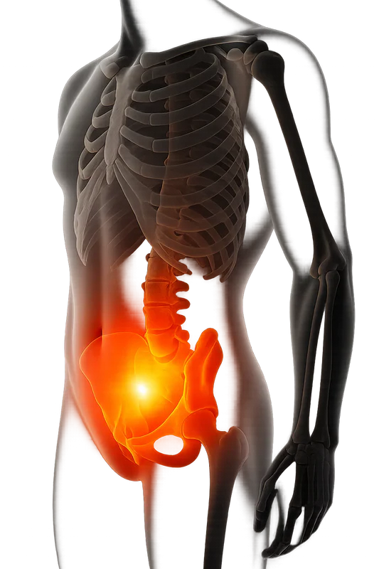 Bauch & Körpermitte